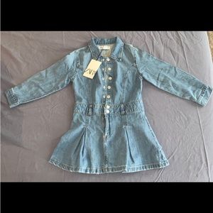 Zara Denim Dress NWT